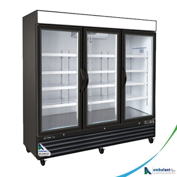 Réfrigérateur Vitrine Tecnolux capacité 250 litres 