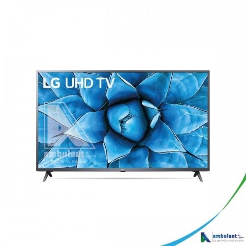Téléviseur SMART 4K 55" LG 55UN7300PTC Ultra HD
