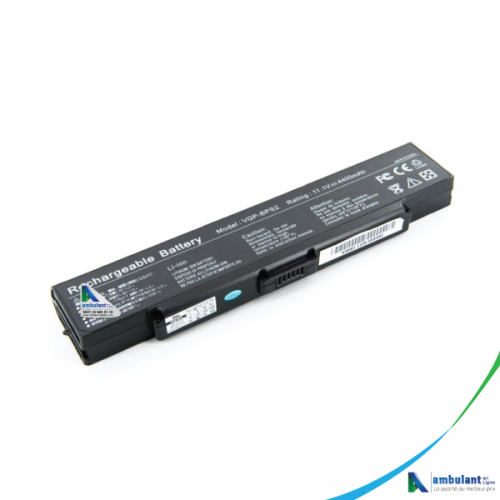 Batterie Ordinateur Portable Sony BPS2